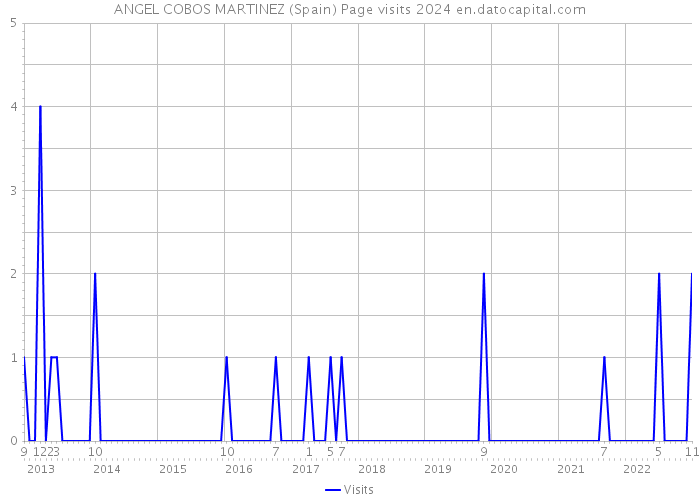 ANGEL COBOS MARTINEZ (Spain) Page visits 2024 