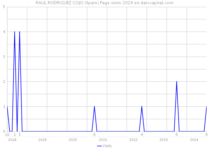 RAUL RODRIGUEZ COJO (Spain) Page visits 2024 