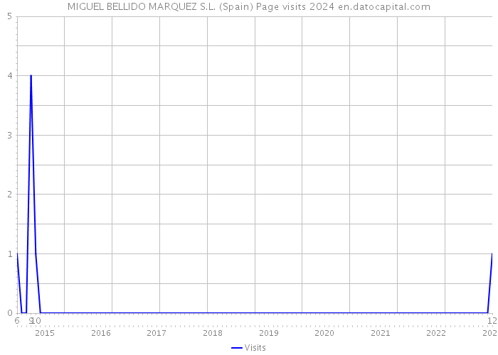 MIGUEL BELLIDO MARQUEZ S.L. (Spain) Page visits 2024 