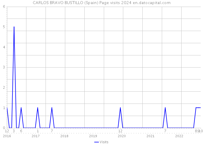 CARLOS BRAVO BUSTILLO (Spain) Page visits 2024 