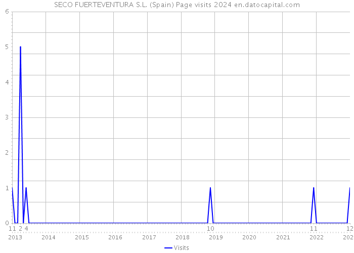 SECO FUERTEVENTURA S.L. (Spain) Page visits 2024 