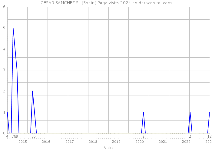 CESAR SANCHEZ SL (Spain) Page visits 2024 