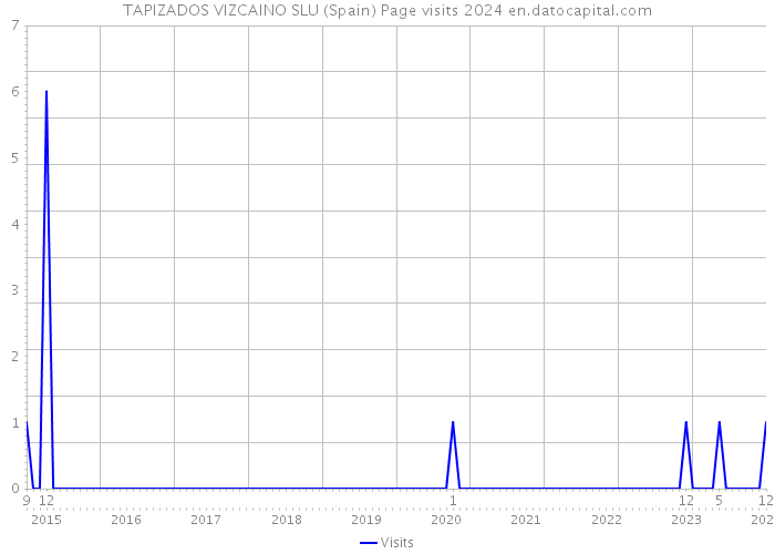 TAPIZADOS VIZCAINO SLU (Spain) Page visits 2024 