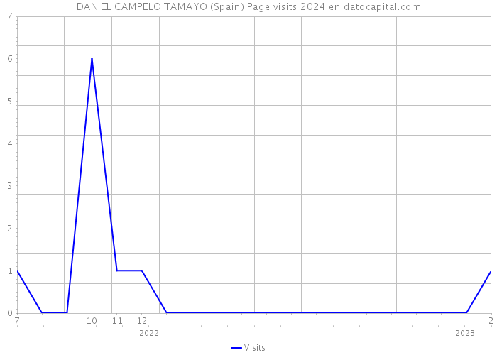 DANIEL CAMPELO TAMAYO (Spain) Page visits 2024 