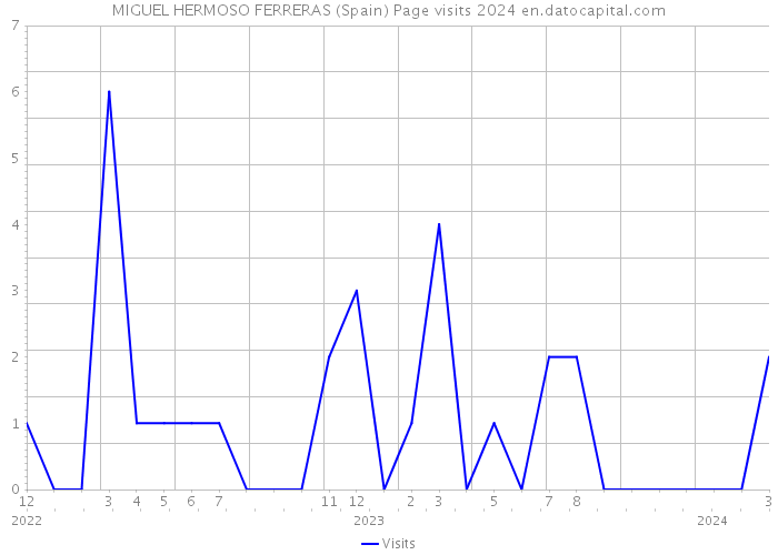 MIGUEL HERMOSO FERRERAS (Spain) Page visits 2024 