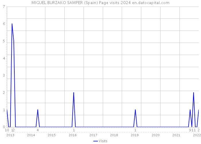 MIGUEL BURZAKO SAMPER (Spain) Page visits 2024 
