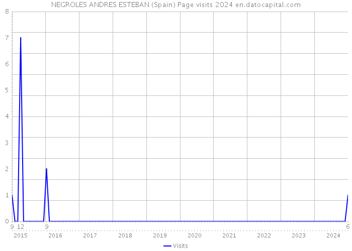 NEGROLES ANDRES ESTEBAN (Spain) Page visits 2024 