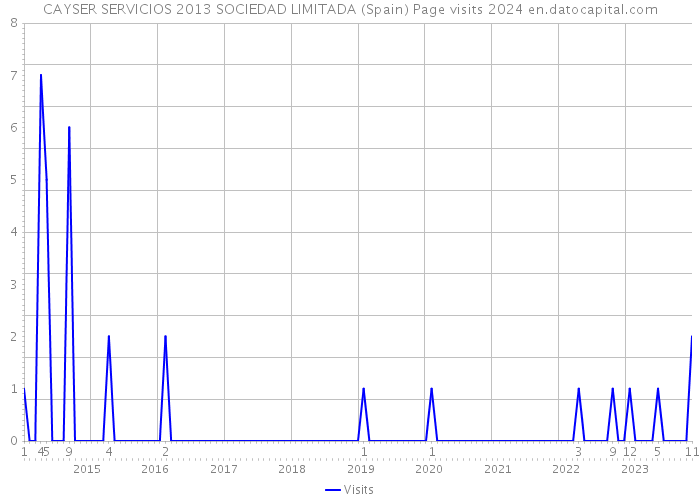 CAYSER SERVICIOS 2013 SOCIEDAD LIMITADA (Spain) Page visits 2024 