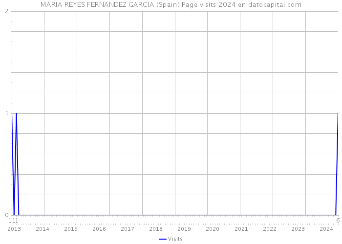 MARIA REYES FERNANDEZ GARCIA (Spain) Page visits 2024 