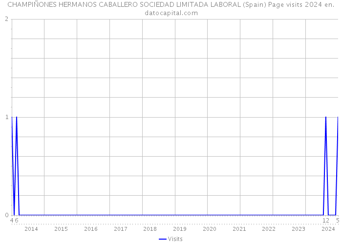 CHAMPIÑONES HERMANOS CABALLERO SOCIEDAD LIMITADA LABORAL (Spain) Page visits 2024 