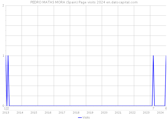 PEDRO MATAS MORA (Spain) Page visits 2024 