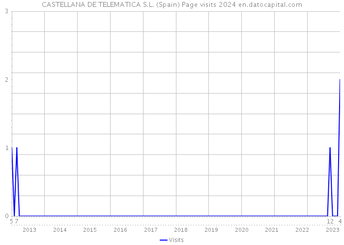 CASTELLANA DE TELEMATICA S.L. (Spain) Page visits 2024 