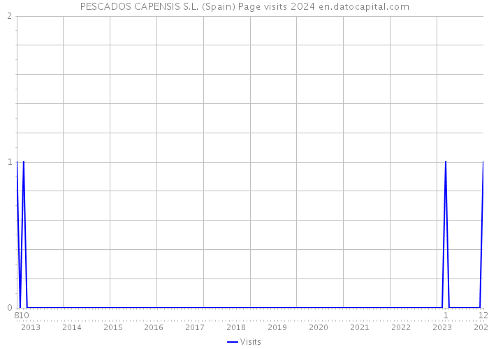 PESCADOS CAPENSIS S.L. (Spain) Page visits 2024 
