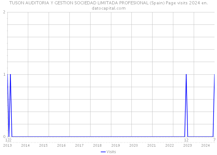 TUSON AUDITORIA Y GESTION SOCIEDAD LIMITADA PROFESIONAL (Spain) Page visits 2024 