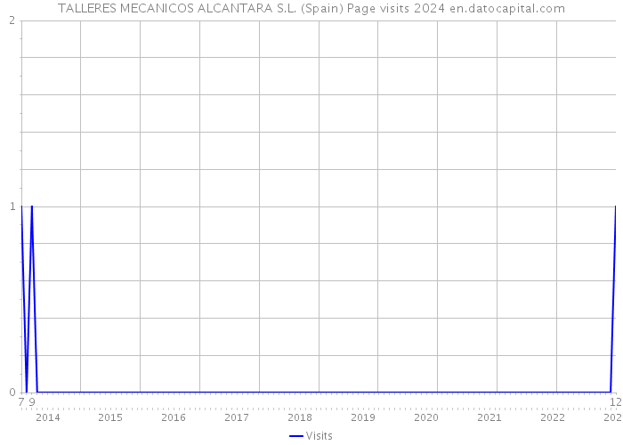 TALLERES MECANICOS ALCANTARA S.L. (Spain) Page visits 2024 