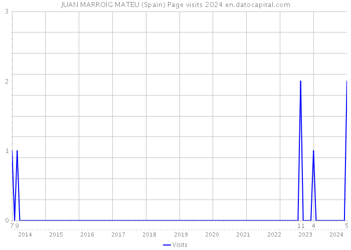 JUAN MARROIG MATEU (Spain) Page visits 2024 