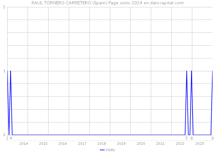 RAUL TORNERO CARRETERO (Spain) Page visits 2024 