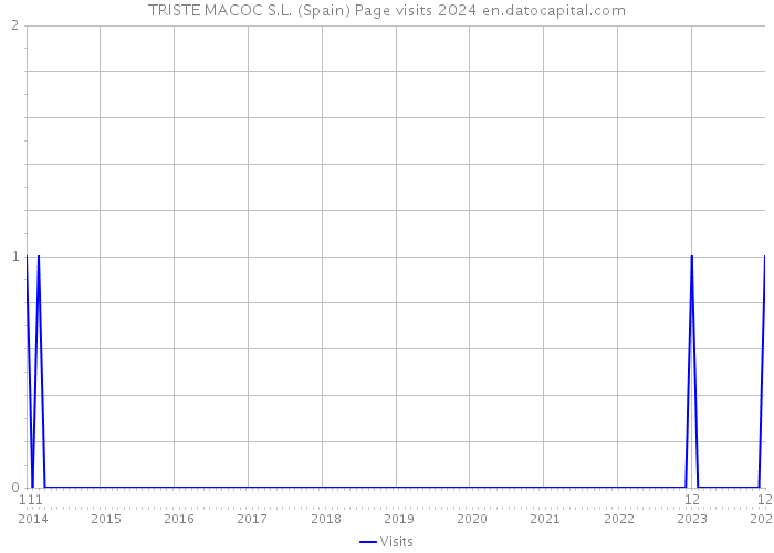 TRISTE MACOC S.L. (Spain) Page visits 2024 