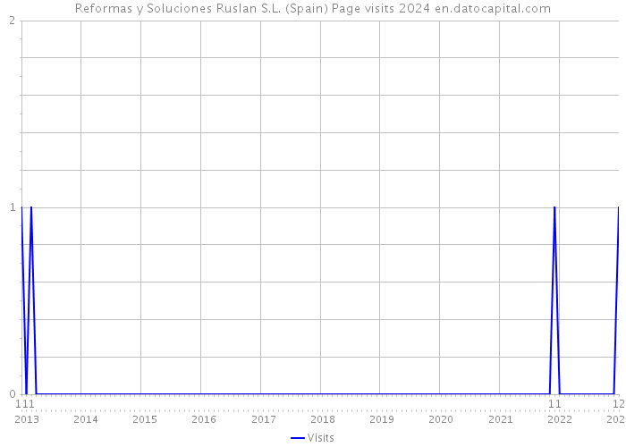 Reformas y Soluciones Ruslan S.L. (Spain) Page visits 2024 