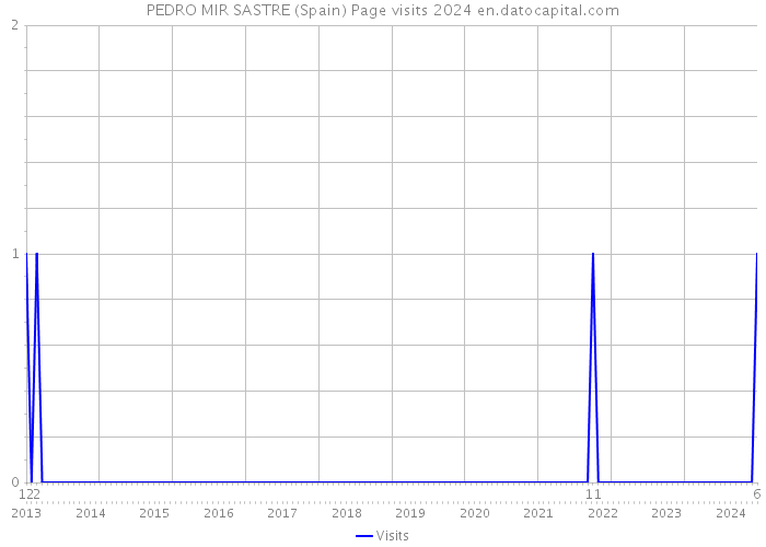PEDRO MIR SASTRE (Spain) Page visits 2024 