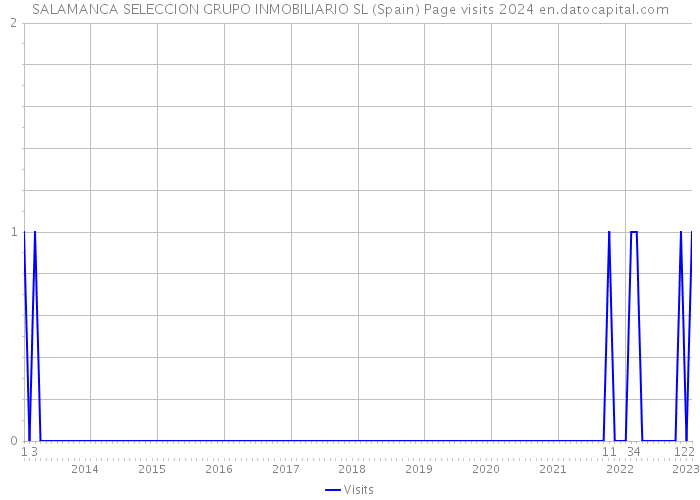 SALAMANCA SELECCION GRUPO INMOBILIARIO SL (Spain) Page visits 2024 