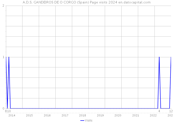 A.D.S. GANDEIROS DE O CORGO (Spain) Page visits 2024 