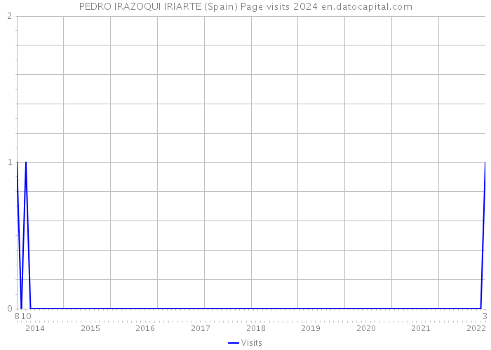 PEDRO IRAZOQUI IRIARTE (Spain) Page visits 2024 