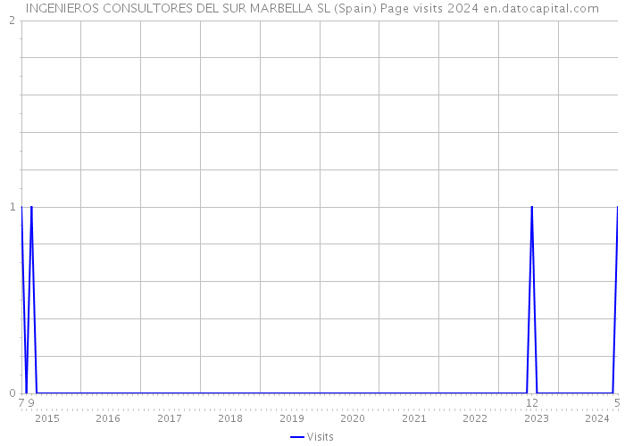 INGENIEROS CONSULTORES DEL SUR MARBELLA SL (Spain) Page visits 2024 