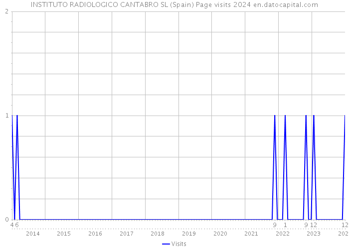 INSTITUTO RADIOLOGICO CANTABRO SL (Spain) Page visits 2024 