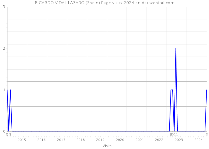 RICARDO VIDAL LAZARO (Spain) Page visits 2024 