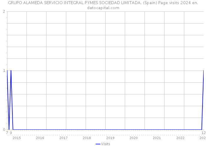 GRUPO ALAMEDA SERVICIO INTEGRAL PYMES SOCIEDAD LIMITADA. (Spain) Page visits 2024 