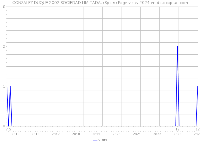 GONZALEZ DUQUE 2002 SOCIEDAD LIMITADA. (Spain) Page visits 2024 