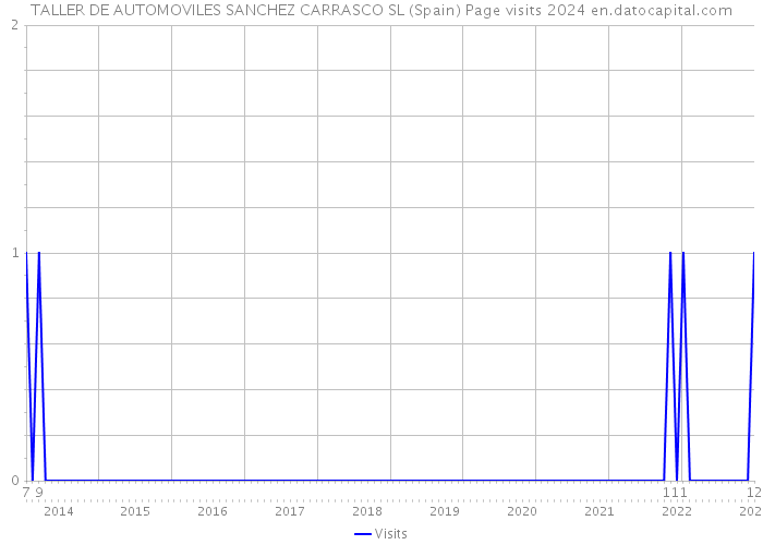TALLER DE AUTOMOVILES SANCHEZ CARRASCO SL (Spain) Page visits 2024 