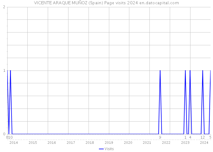 VICENTE ARAQUE MUÑOZ (Spain) Page visits 2024 