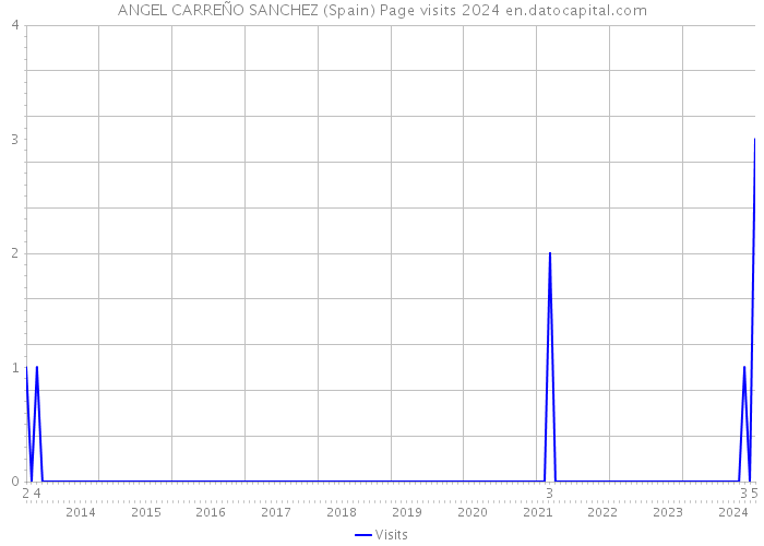 ANGEL CARREÑO SANCHEZ (Spain) Page visits 2024 