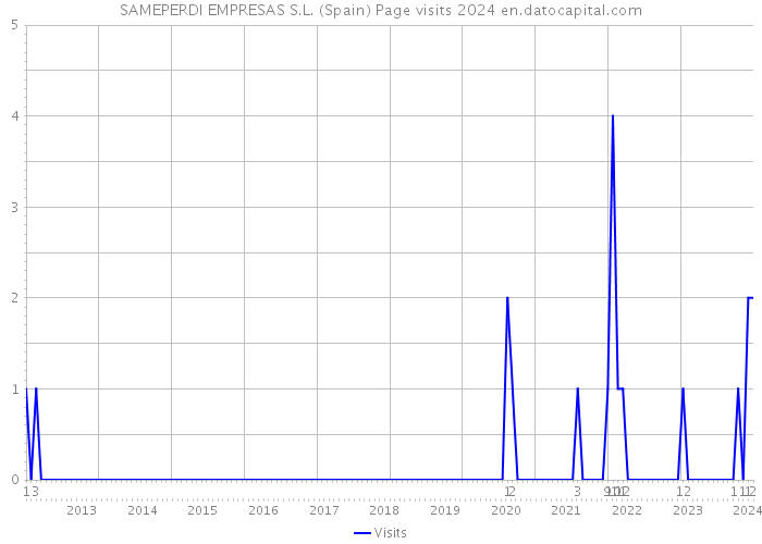 SAMEPERDI EMPRESAS S.L. (Spain) Page visits 2024 