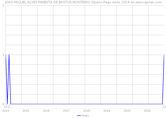 JOAO MIGUEL ALVES PIMENTA DE BASTOS MONTEIRO (Spain) Page visits 2024 