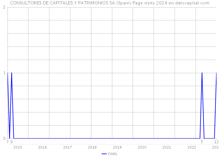 CONSULTORES DE CAPITALES Y PATRIMONIOS SA (Spain) Page visits 2024 