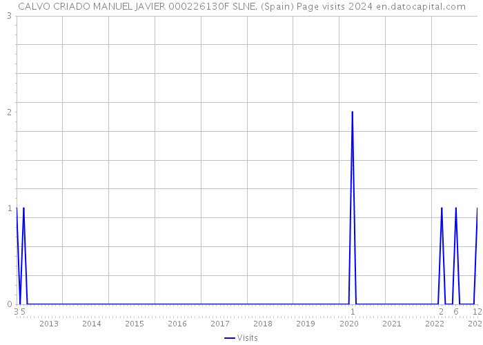 CALVO CRIADO MANUEL JAVIER 000226130F SLNE. (Spain) Page visits 2024 