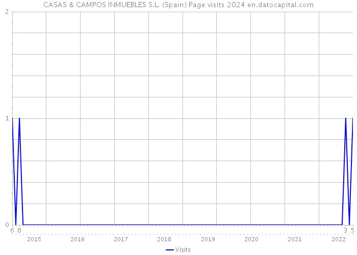 CASAS & CAMPOS INMUEBLES S.L. (Spain) Page visits 2024 