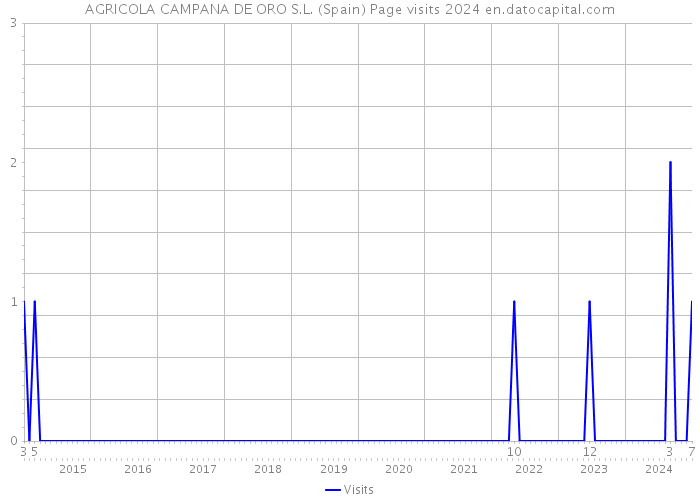 AGRICOLA CAMPANA DE ORO S.L. (Spain) Page visits 2024 