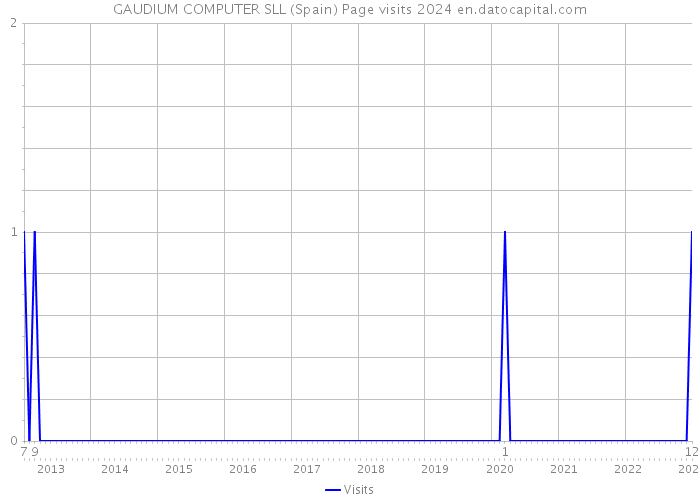 GAUDIUM COMPUTER SLL (Spain) Page visits 2024 