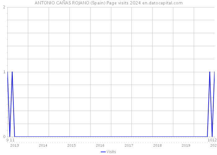 ANTONIO CAÑAS ROJANO (Spain) Page visits 2024 