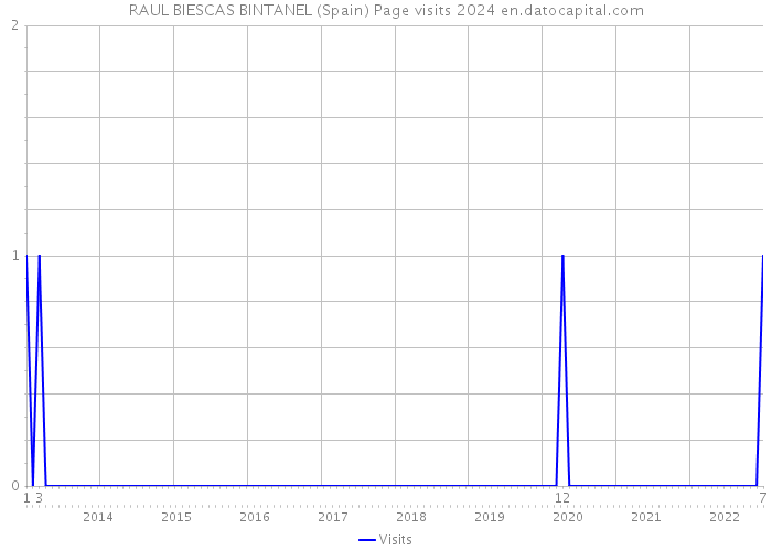 RAUL BIESCAS BINTANEL (Spain) Page visits 2024 