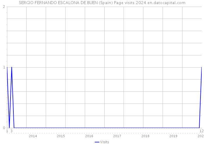 SERGIO FERNANDO ESCALONA DE BUEN (Spain) Page visits 2024 