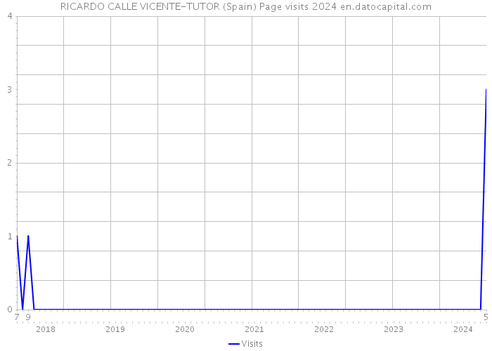 RICARDO CALLE VICENTE-TUTOR (Spain) Page visits 2024 