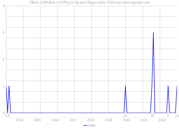 CELIA CARUDA CASTILLO (Spain) Page visits 2024 