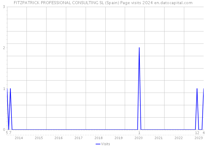 FITZPATRICK PROFESSIONAL CONSULTING SL (Spain) Page visits 2024 