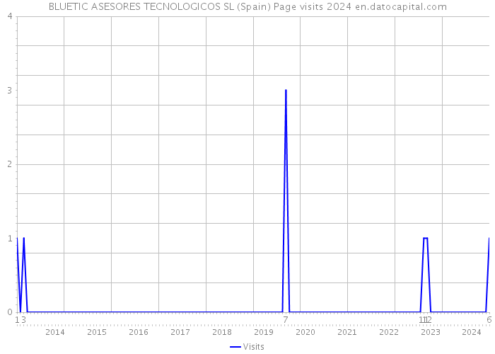 BLUETIC ASESORES TECNOLOGICOS SL (Spain) Page visits 2024 
