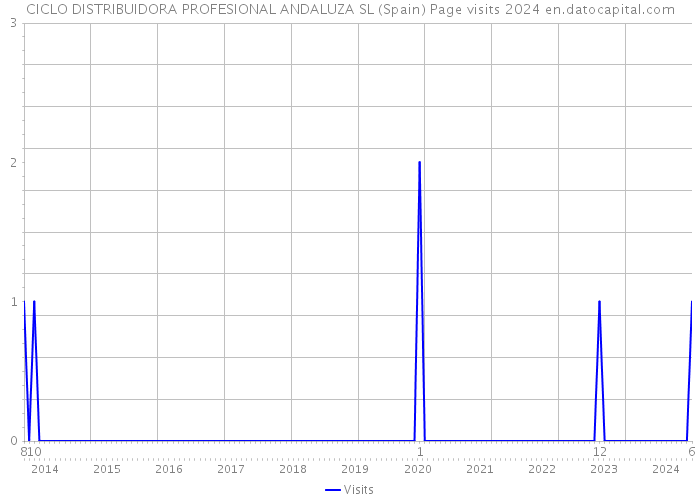 CICLO DISTRIBUIDORA PROFESIONAL ANDALUZA SL (Spain) Page visits 2024 